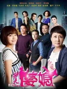 电视剧功夫婆媳在线观看,温情与笑料的完美融合，在线观看不容错过！